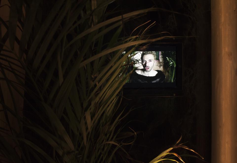 video of artist singing on iPad installed behind plant